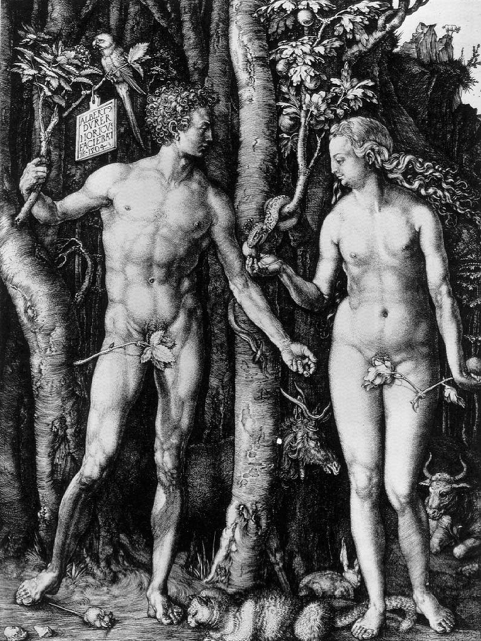 Adam and Eve (etching) by Albreacht Durer. Seeing the most recent opening at