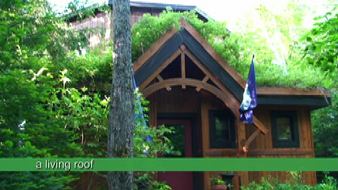 Screen capture from virtual tour video of the living roof at Northern Edge Algonquin